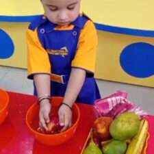 All about fruits activity